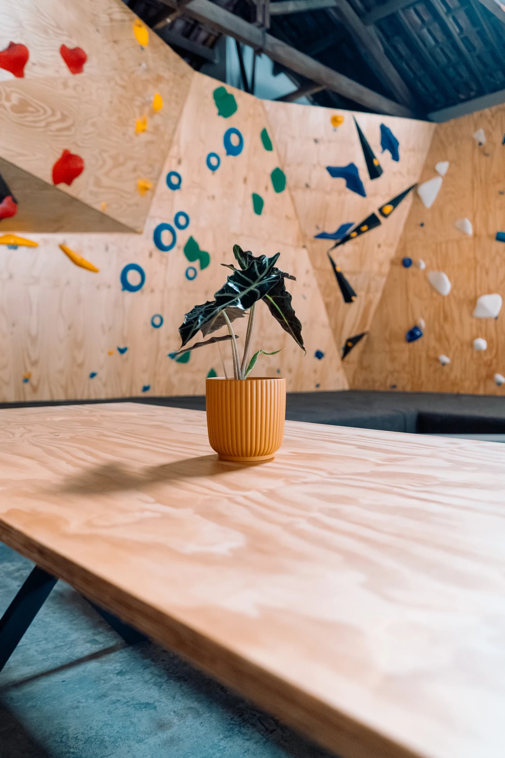 Bloco Bouldering Guimarães